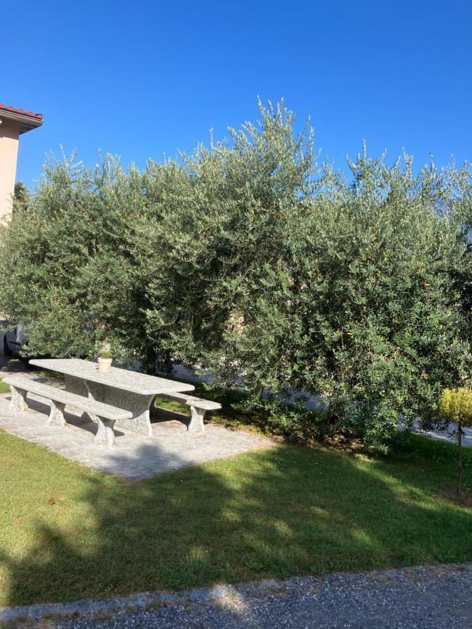 Residenza Giovanni Contone Extérieur photo